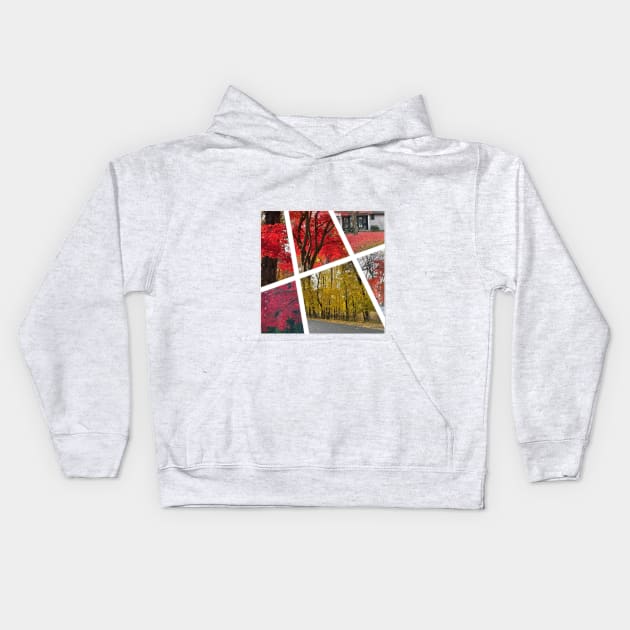 Fall Foliage Collage Kids Hoodie by Barschall